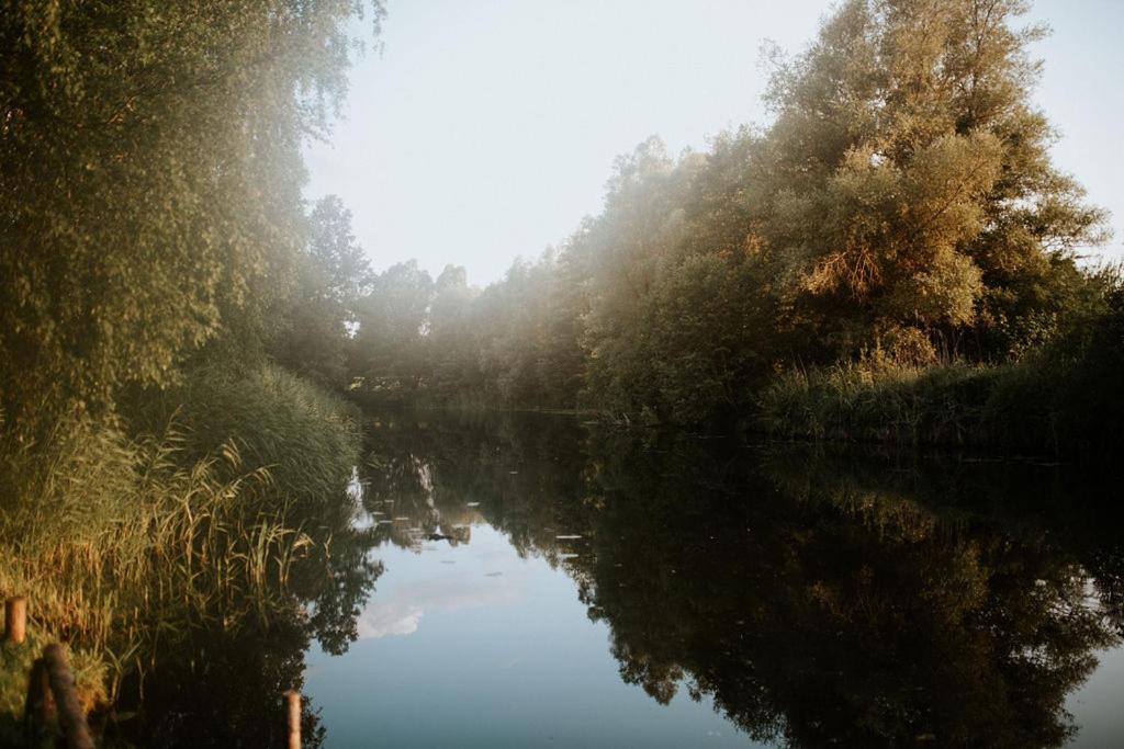 Dom Gościnny Sowia Stópka Miłomłyn Zewnętrze zdjęcie